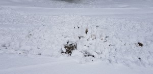 20190113_102144.jpg